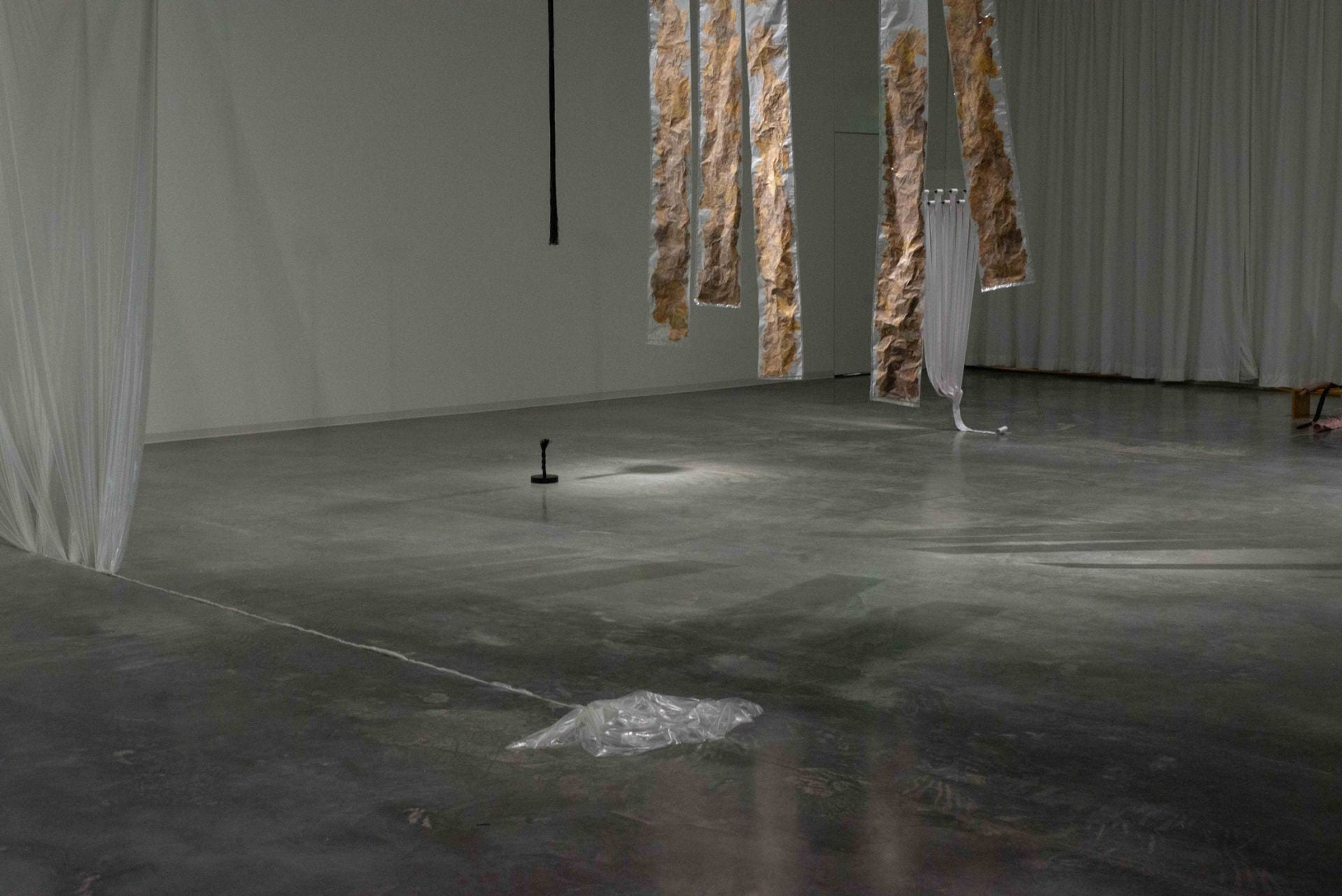 Image shows a sculptural installation in gallery space with various hanging plastic, rope, and leaves encased in plastic